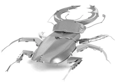 3D puzzle Roháč obyčajný