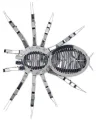 METAL EARTH 3D puzzle Tarantula